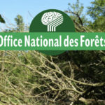 Connaître l’Office National des forêts
